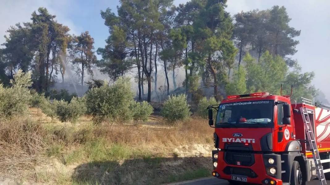Manavgat’ta Korkutan Yangın Kontrol Altına Alındı! 6